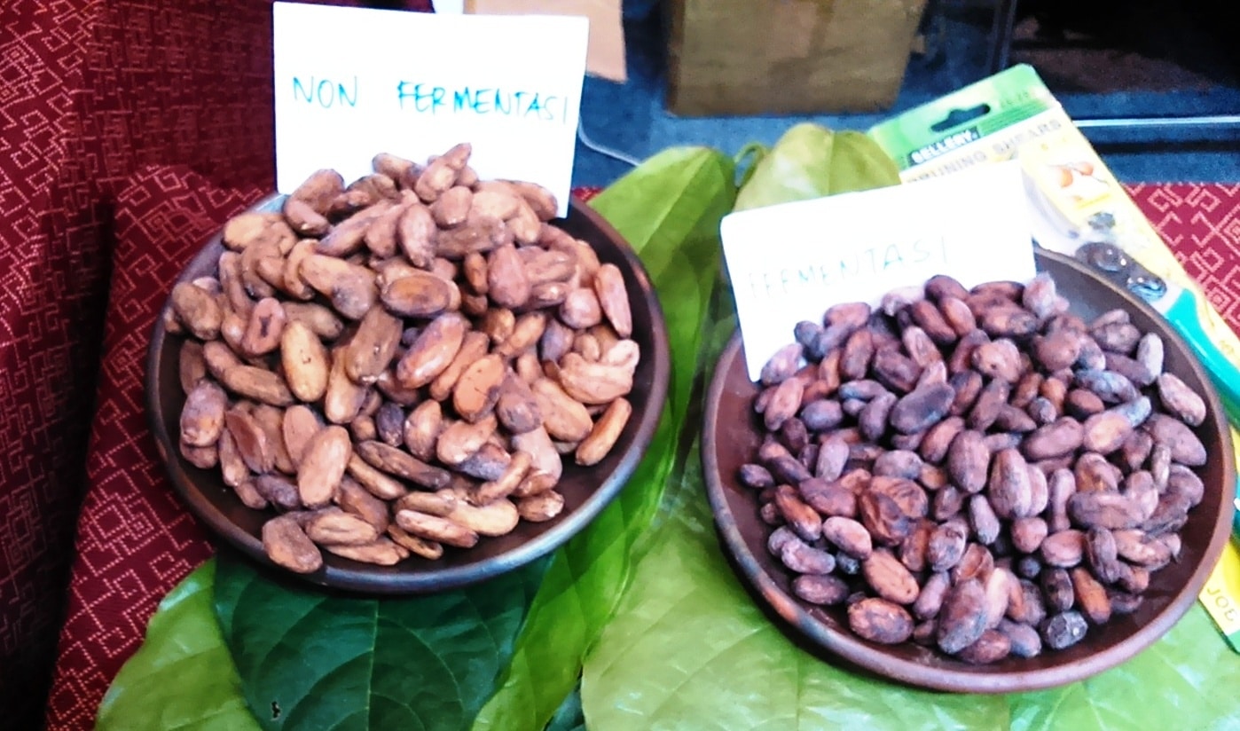 Unfermented vs fermented cacao beans