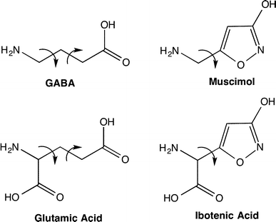 muscimol-molecules
