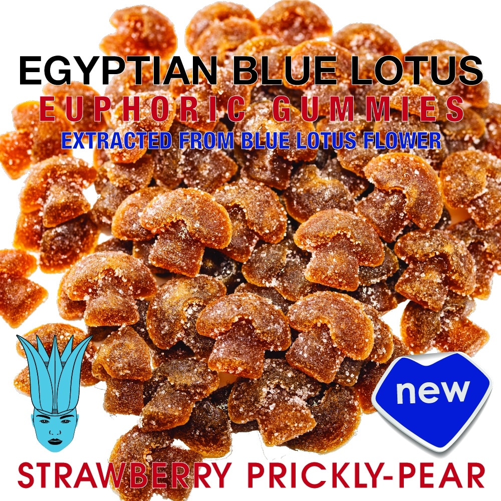 egyptian-blue-lotus-gummies-1@1000x-100